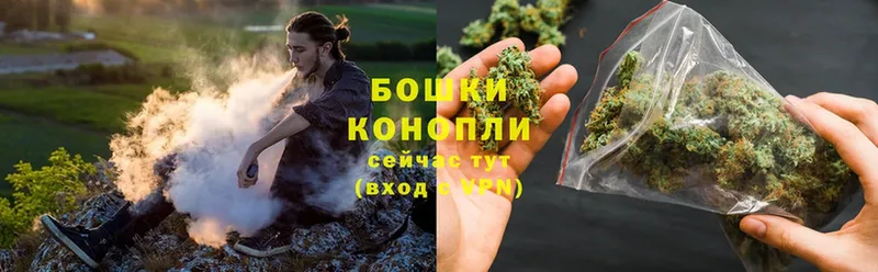 где можно купить наркотик  Карачаевск  Бошки Шишки Bruce Banner 